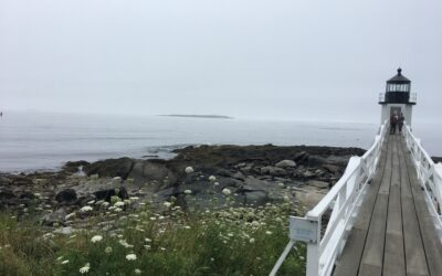 Blog 7 Simple Tips To Achieve Your Goals